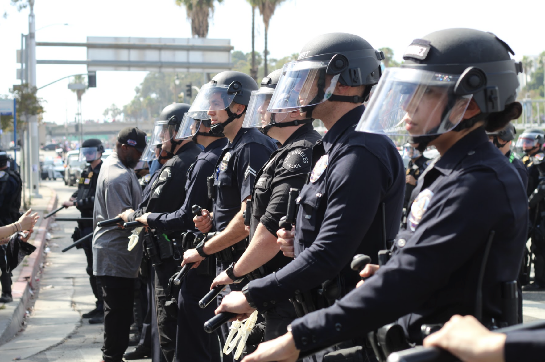 LAPD No Kings